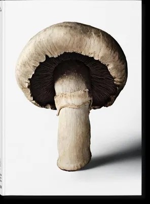 Obrázek produktu pro The Gourmand's Mushroom