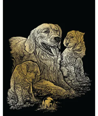 Produktbild von PRACHT CREATIVES HOBBY,KAUFBEU Kratzbilder Golden Retriever 0