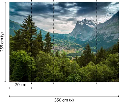 Produktbild von Tadessi Fototapete | Wald | 3.50 m x 2.55 m | Grün | Grau | Wandbild | Digitaldruck