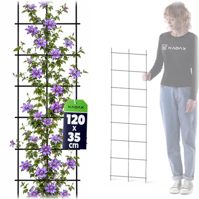 Obrázek produktu pro KADAX mříž, ocelová podpěra pro popínavé rostliny, stěnová mříž pro rostliny, zahrada, balkon, terasa, drátěná mříž