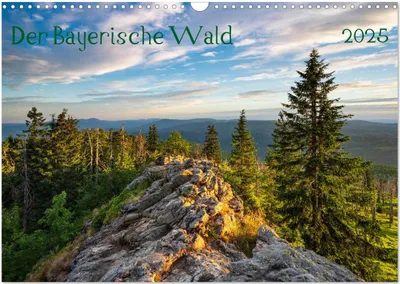 Produktbild von Der Bayerische Wald (Wandkalender 2025 DIN A3 quer), CALVENDO Monatskalender