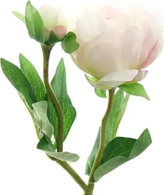 Produktbild von GASPER Pfingstrose - Peonie Zartrosa 45 cm - Kunstblumen