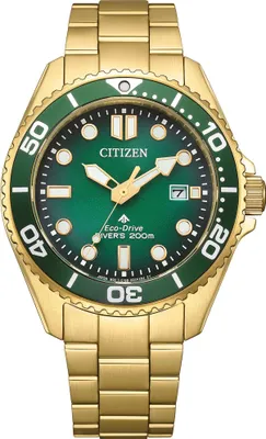 Produktbild von Citizen BN0262-59W  Promaster Eco-Drive Diver Uhr Herrenuhr Edelstahl Datum gold