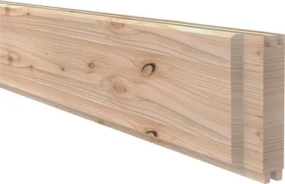 Produktbild von Bohle Osmo für Schallschutzzaun Forsdal 45 4,5 x 14,6 x 205 cm lärche