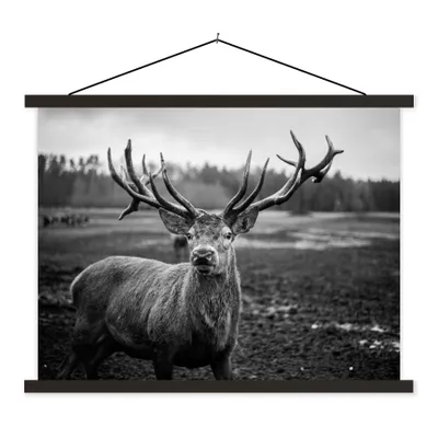 Produktbild von MuchoWow® Textilposter Tiere - Hirsch - Geweih - Schwarz und weiß - Natur 60x45 cm mit schwarzem Rahmen - Poster Schlafzimmer