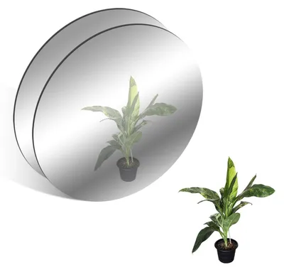 Zdjęcie produktu dla Samoistne lustra, akryl, okrągłe, 30 cm, 2 sztuki