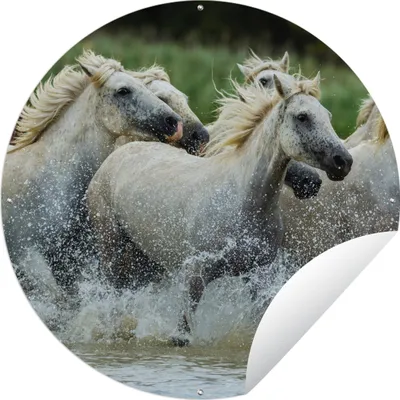 Produktbild von MuchoWow® Gartenposter Outdoor-Poster Rund Pferde - Wasser - Natur Ø 90 cm Gartendeko Rundes Poster draußen
