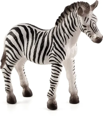 Produktbild von Animal Planet Zebra Fohlen