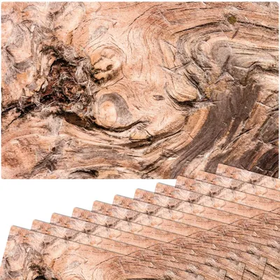 Immagine prodotto di Set di 12 tovagliette lavabili con struttura in radica effetto legno