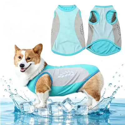Productafbeelding van Koelvest voor Honden - Ademend Mesh - Blauw XL