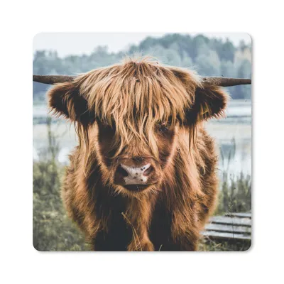 Produktbild von MuchoWow® Mauspad Mousepad Kühe - Schottische Hochlandbewohner - Braun - Natur 20x20 cm - Mousepads - Maus Mat - Pad - Mausunterlage - Desk Mat - Bureauartikeln