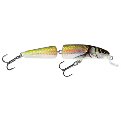 Zdjęcie produktu dla Salmo Wobler Fanatic Floating 7 cm Holo Bleak