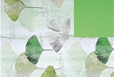 Obrázek produktu pro R-papír Ginkgo 75cmx200m