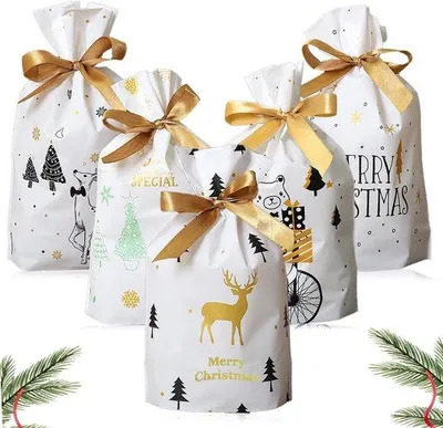 Produktbild von Klein Geschenkzakjes aus Plastik, 50er Pack, praktisches Design, mit Schnüreinlegemöglichkeit