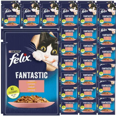 Zdjęcie produktu dla Felix Fantastic Karma Dla Kotów Łosoś W Galaretce Saszetka 48x85g