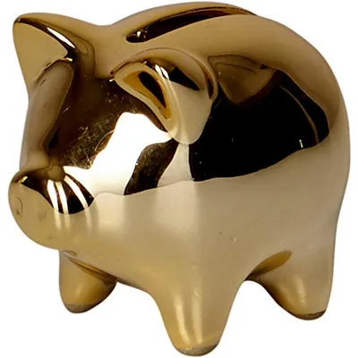 Produktbild von Goldenes Sparschwein Viel Glück