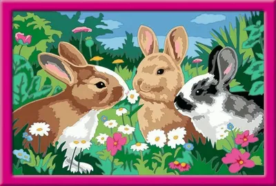 Immagine prodotto di Ravensburger 28517 Ravensburger Malen-nach-Zahlen Putzige Häschen