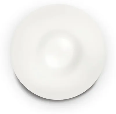 Image de White GLORY Plafonnier 2 ampoules