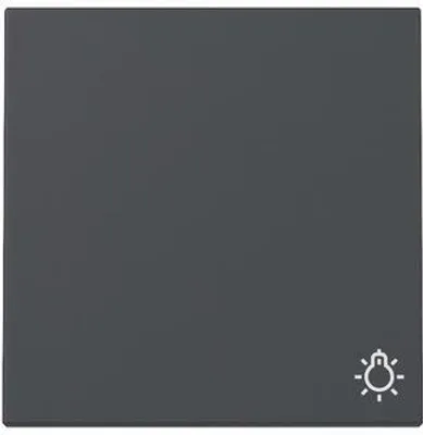 Image de Bascule Gira Symb. Lumière 328528