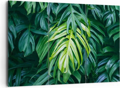 Produktbild von Bild auf Leinwand - Leinwandbild - Blume Natur - 165x110cm - Wand Bild - Wanddeko - Wandbilder - Leinwanddruck - Bilder - Kunstdruck - Wanddekoration - Leinwand bilder - Wandkunst - CE165x110-3951