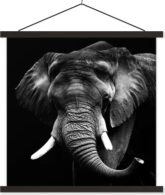 Produktbild von MuchoWow® Textilposter Elefant - Zähne - Schwarz - Weiß 40x40 cm mit schwarzem Rahmen - Fotos