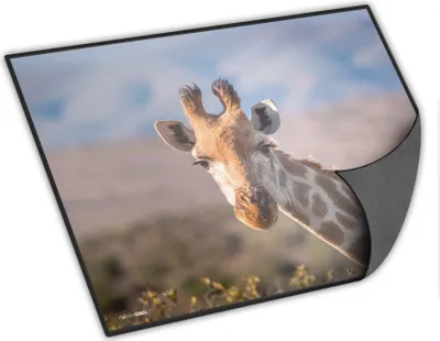 Produktbild von itenga Schreibunterlage Giraffe 400 x 530 mm