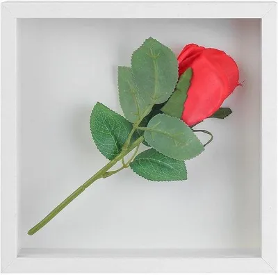 Obrázek produktu pro Průhledný akrylový fotorámeček 20 x 20 cm – dekorace na zeď