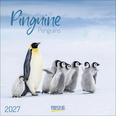Produktbild von Pinguine 2027: Broschürenkalender mit Ferienterminen. 30 x 30 cm - Wandkalender