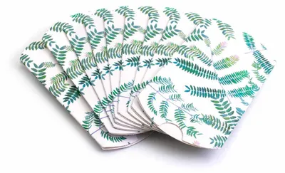 Produktbild von Vintageparts Schmuckverpackung Faltschachtel Farn-Motiv weiß 10 Stück