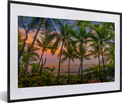 Produktbild von MuchoWow® MuchoWow® Gerahmtes Poster Palme - Tropisch - Meer 60x40 cm - Poster mit zchwarzem Bilderrahmen - Schlafzimmer - Plakat in Rahmen - Drucken