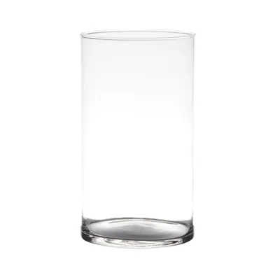 Produktbild von Blumenvase Neville - klar transparent - Glas - 16 x 30 cm - Zylinderform