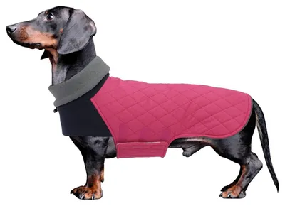 Produktbild von Hundemantel Dackel Wintermantel Steppfutter Geschirr Loch Winddicht Rollkragen Rosa L