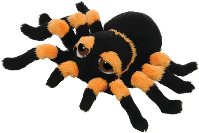 Produktbild von Stofftier Tarantula Spindra S