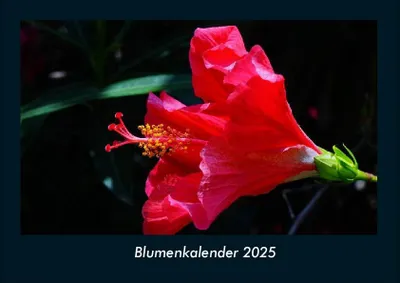 Produktbild von Blumenkalender 2025 Fotokalender DIN A4