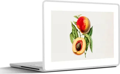 Produktbild von MuchoWow® Laptop Aufkleber Sticker Cover Pfirsich - Lebensmittel - Obst 40x30 cm - Laptop Dekoration - Selbstklebend