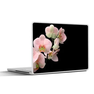 Produktbild von MuchoWow® Laptop Aufkleber Sticker Cover Orchidee - Blumen - Rosa - Stilleben - Flora 30x22 cm - Laptop-Sticker