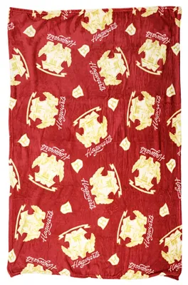 Produktbild von Harry Potter Hogwarts Flanell Wohndecke warme Kuscheldecke 110x150 cm