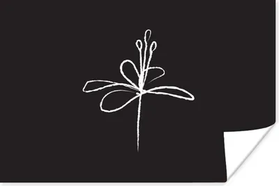 Produktbild von MuchoWow® Poster Blumen - Linienkunst - Minimalismus 120x80 cm - Bilder