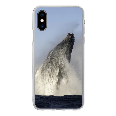 Produktbild von MuchoWow® Handyhülle Schutzhülle Hülle für iPhone X Wal - Wasser - Südafrika Silikon Softcase Handy Hülle - Handyhülle