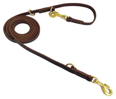 Image de Laisse multifonctionnelle, 2,4 m, marron, pour petits chiens