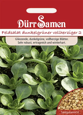 Produktbild von Dürr-Samen - Feldsalat Dunkelgrüner vollherziger - Saatgut - 0035