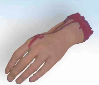 Produktbild von Halloween Körperteil Hand - Abgehackt & Blutig - Realistische Grusel Deko für Horrorpartys, Spukhaus & Outdoor