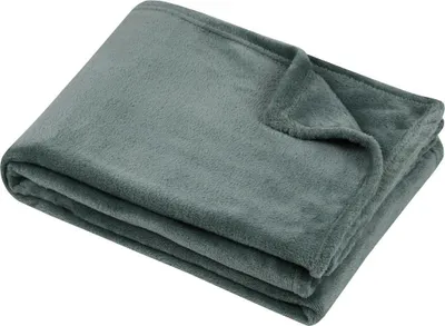 Image de Plaid 180x220 cm Collection Confort jade
