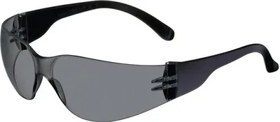 Produktbild von Schutzbrille Daylight Basic EN 166 Bügel schwarz,Scheibe smoke PC PROMAT