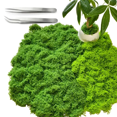 Kunstmoos 120 g, Bastelmoos, grün, DIY-Deko, Aquarium, Modellbau