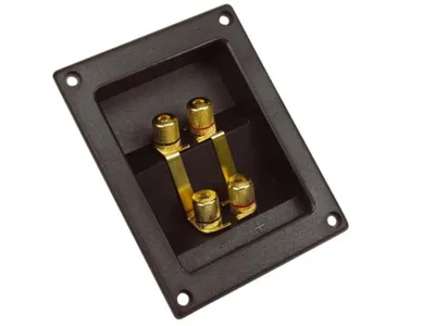 Immagine prodotto di Terminale per Collegamento Doppio Altoparlante - Rettangolare - Oro