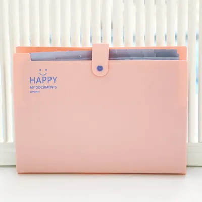Produktbild von Erweiterbarer A4-Ordner mit 12 Fächern und 16 Etiketten, Dokumentenmappe, Archivmappe, Ablagesystem, Dokumentenorganizer für Zuhause, Büro, Schule, Belege und Reisen, rosa