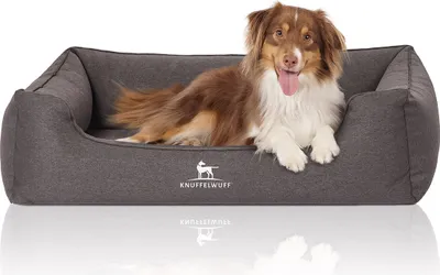 Produktbild von Knuffelwuff Orthopädisches Hundebett Leano aus Velours mit Handwebcharakter XL 105 x 75cm Schwarz