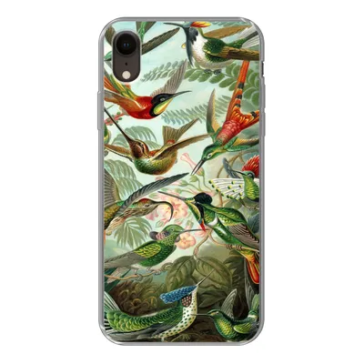 Produktbild von MuchoWow® Handyhülle Schutzhülle Hülle für iPhone XR Trochilidae - Alte Meister - Kunst Silikon Softcase Handy Hülle - Schutzdeckel
