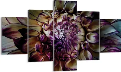 Produktbild von Bild auf Leinwand - Leinwandbild - 5 Teile - Blätter Agave Blume - 125x70cm - Wand Bild - Wanddeko - Wandbilder - Leinwanddruck - Bilder - Wanddekoration - Leinwand bilder - Wandbild - EA125x70-5122